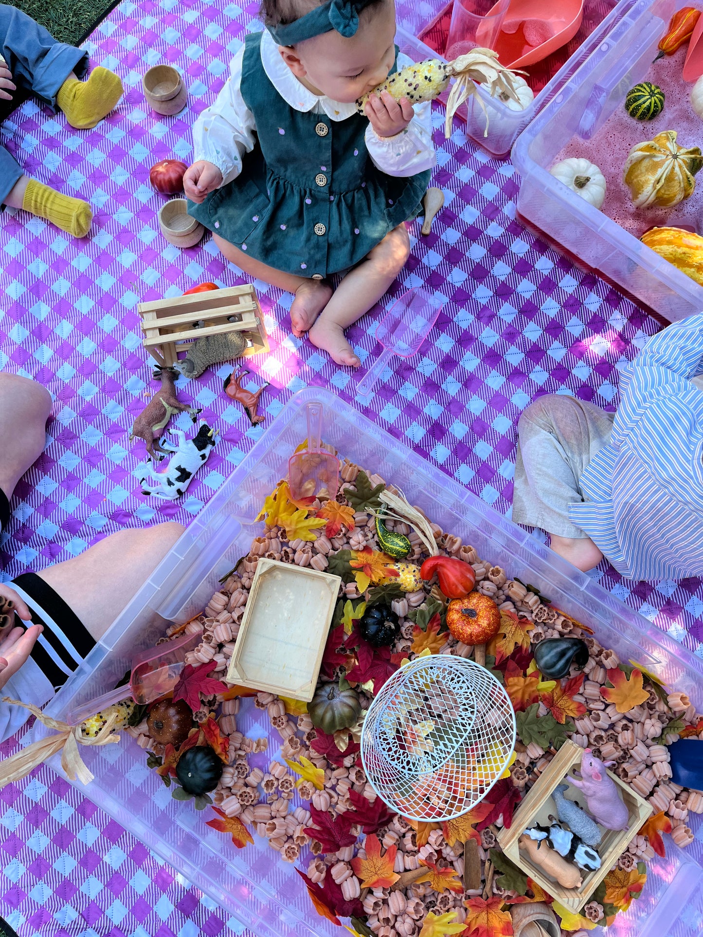 Warburton Camp | Dec 19th 9:00a-12:00p