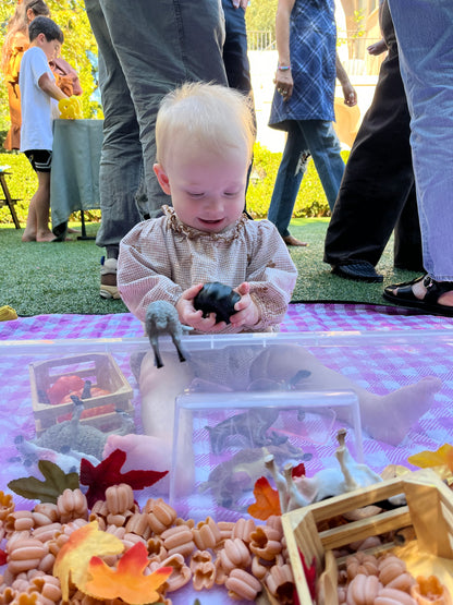 Aizenman | Friday 10am | Sensory Art Class