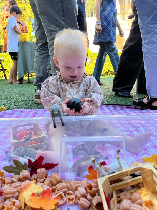 Aizenman | Friday 10am | Sensory Art Class