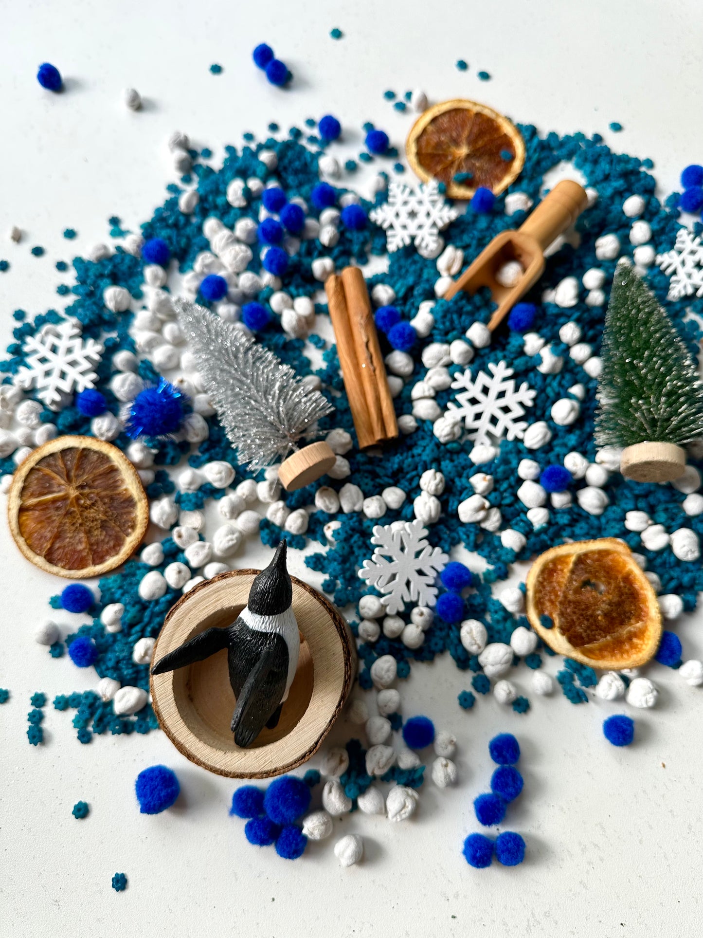 "Snowy Sensations" Sensory Kit